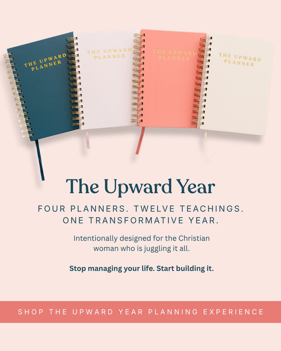 The Upward Year | Kind Birdie