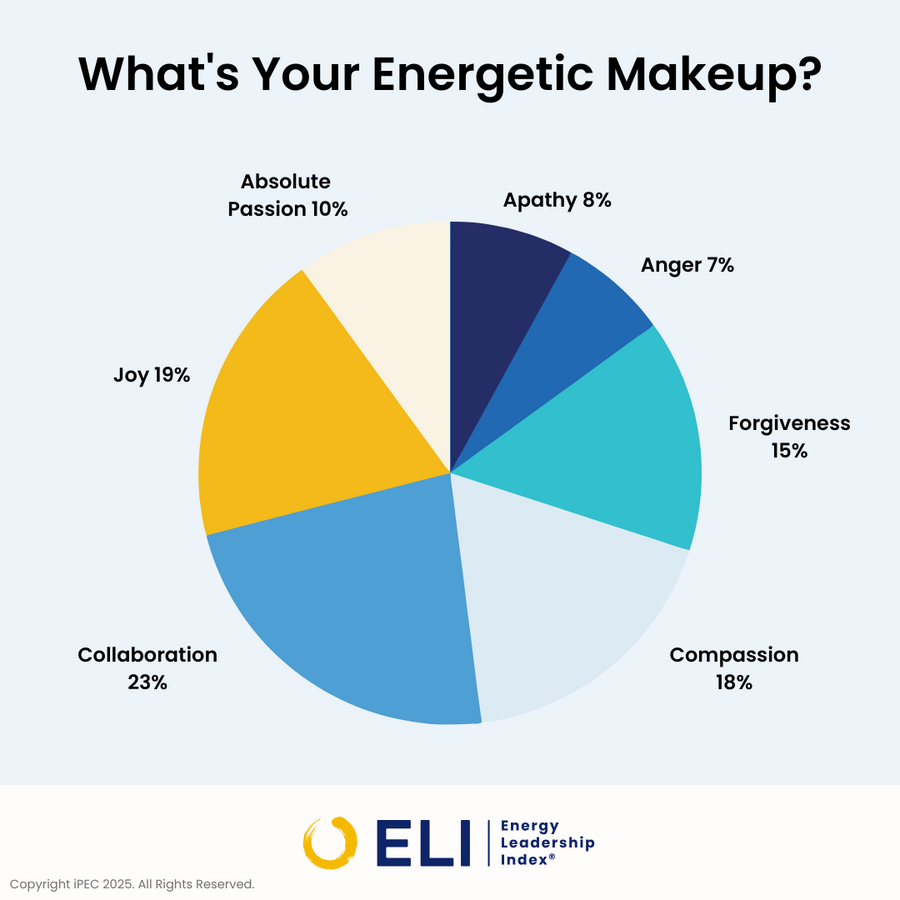 Energy Leadership Index: For Christian Women Burning Out Fast