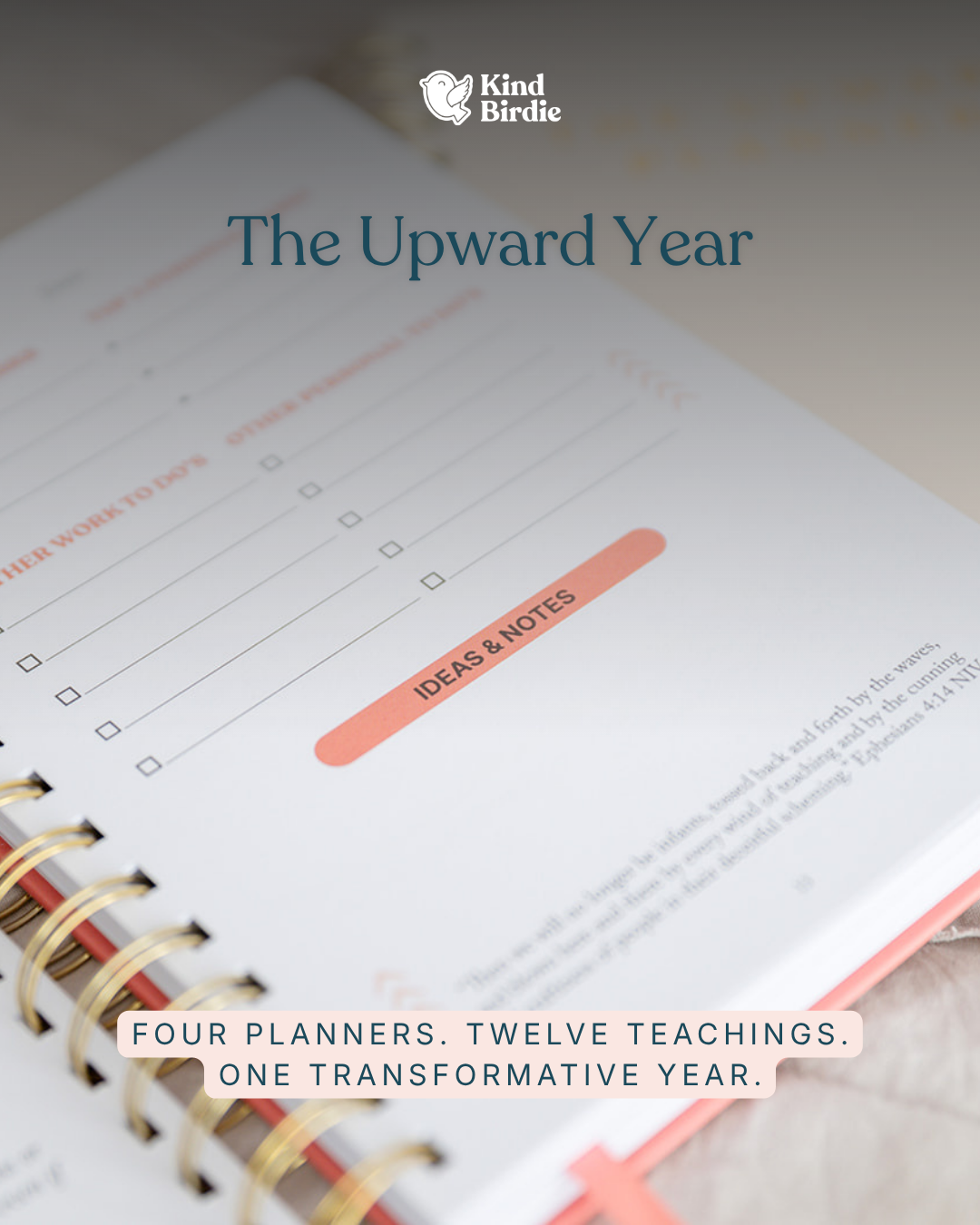 The Upward Year Kind Birdie
